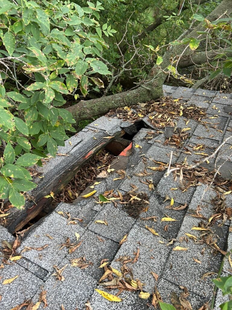 storm damge fargo nd tree fall roof keepers